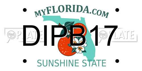 DIPB17 Florida License Plate