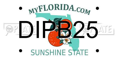 DIPB25 Florida License Plate