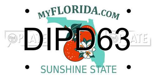DIPD63 Florida License Plate
