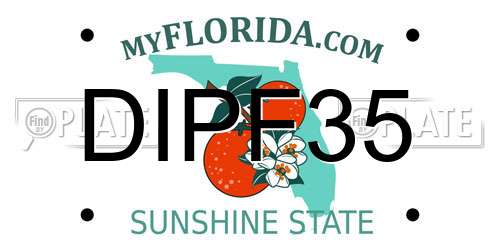DIPF35 Florida License Plate