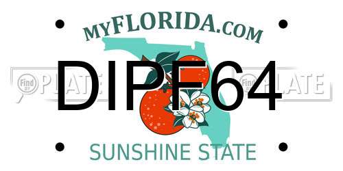 DIPF64 Florida License Plate
