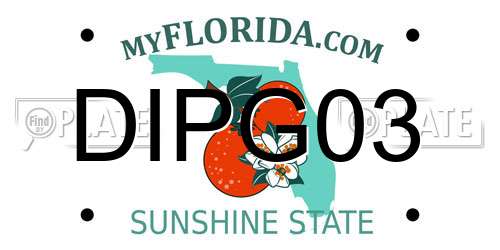 DIPG03 Florida License Plate