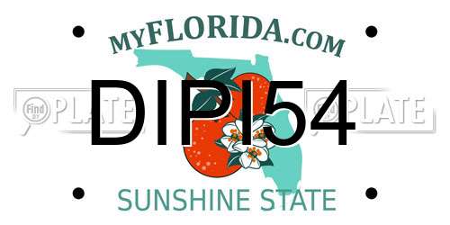 DIPI54 Florida License Plate