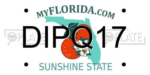 DIPQ17 Florida License Plate