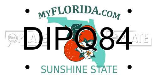 DIPQ84 Florida License Plate