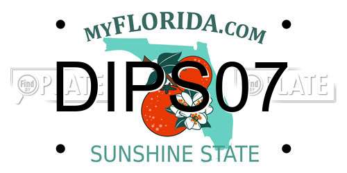 DIPS07 Florida License Plate