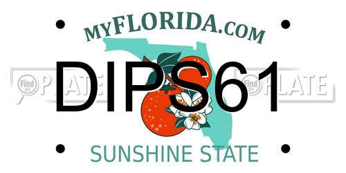 DIPS61 Florida License Plate