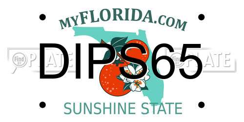 DIPS65 Florida License Plate
