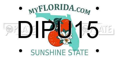 DIPU15 Florida License Plate