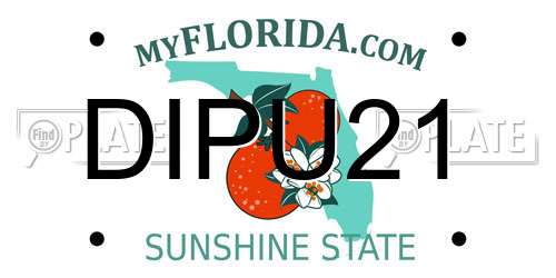DIPU21 Florida License Plate
