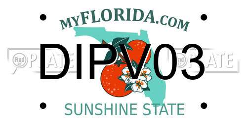 DIPV03 Florida License Plate
