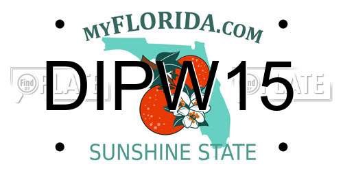 DIPW15 Florida License Plate
