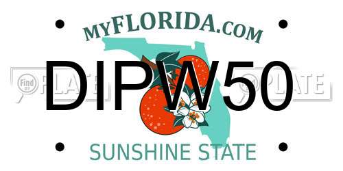 DIPW50 Florida License Plate