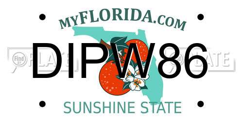 DIPW86 Florida License Plate