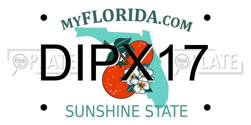 DIPX17 Florida License Plate