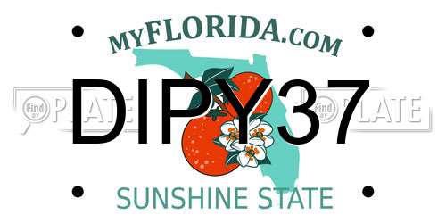 DIPY37 Florida License Plate
