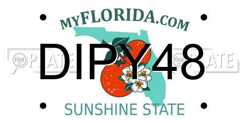 DIPY48 Florida License Plate