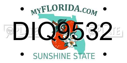 DIQ9532 Florida License Plate
