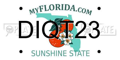 DIQT23 Florida License Plate