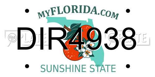 DIR4938 Florida License Plate