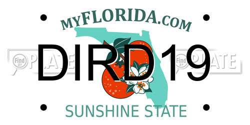 DIRD19 Florida License Plate