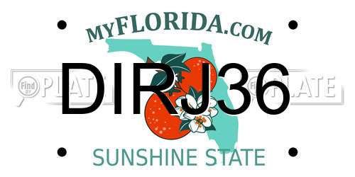 DIRJ36 Florida License Plate