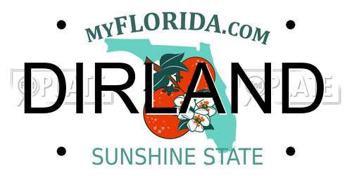 DIRLAND Florida License Plate