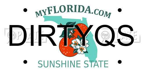DIRTYQS Florida License Plate