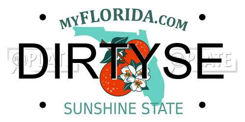DIRTYSE Florida License Plate