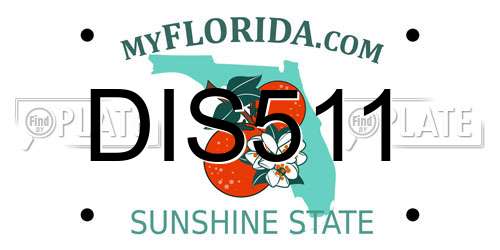 DIS511 Florida License Plate