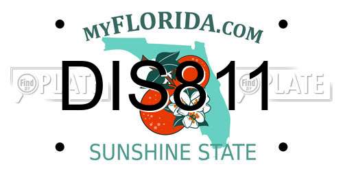 DIS811 Florida License Plate