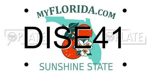 DISE41 Florida License Plate