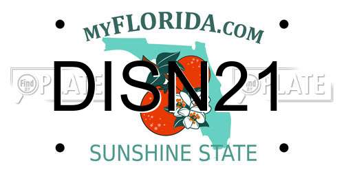 DISN21 Florida License Plate