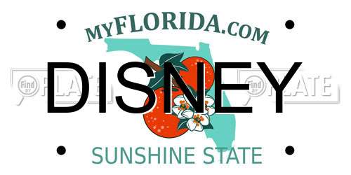 DISNEY Florida License Plate