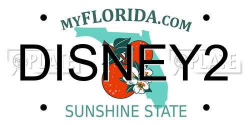 DISNEY2 Florida License Plate