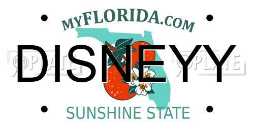 DISNEYY Florida License Plate