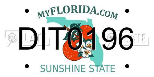DIT0196 Florida License Plate
