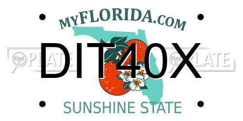 DIT40X Florida License Plate