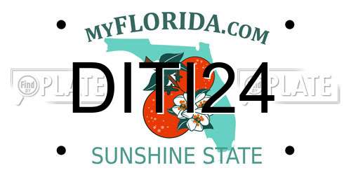 DITI24 Florida License Plate