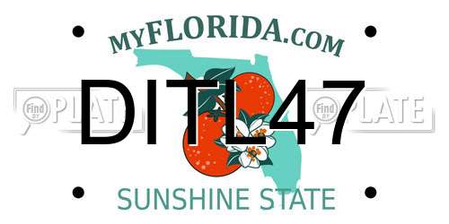 DITL47 Florida License Plate