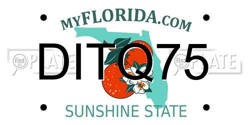 DITQ75 Florida License Plate
