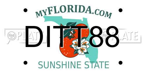 DITT88 Florida License Plate