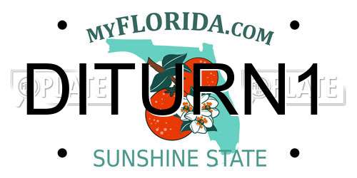 DITURN1 Florida License Plate