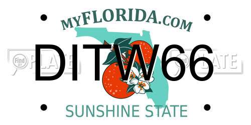 DITW66 Florida License Plate