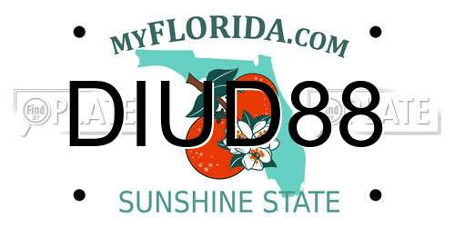 DIUD88 Florida License Plate