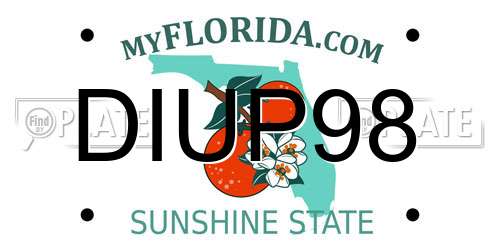 DIUP98 Florida License Plate