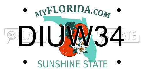 DIUW34 Florida License Plate