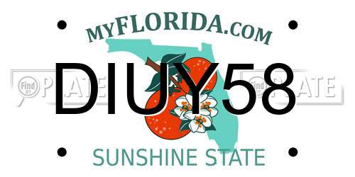 DIUY58 Florida License Plate