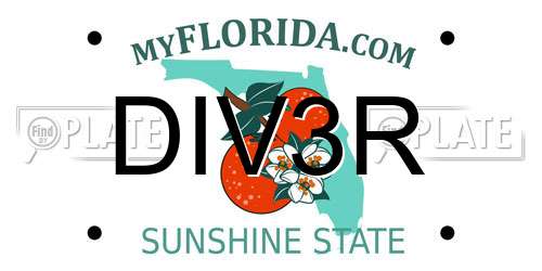 DIV3R Florida License Plate