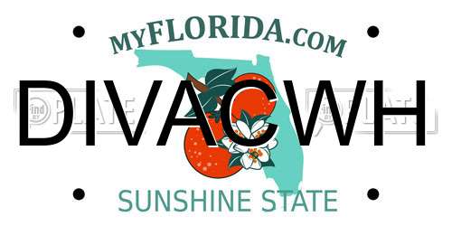 DIVACWH Florida License Plate